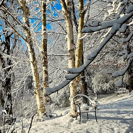 Tatil Evi Auszeyt Edersee Fuer Zwei